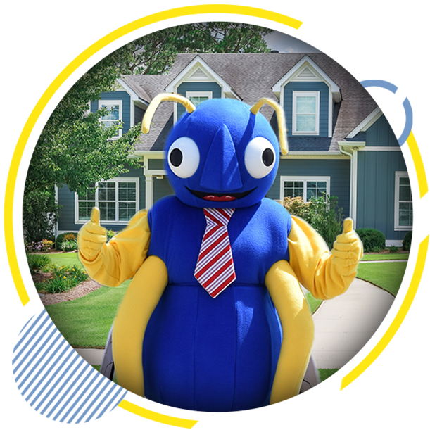 Pest Control in Connecticut | Big Blue Bug Solutions