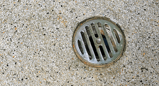 commercial floor drain