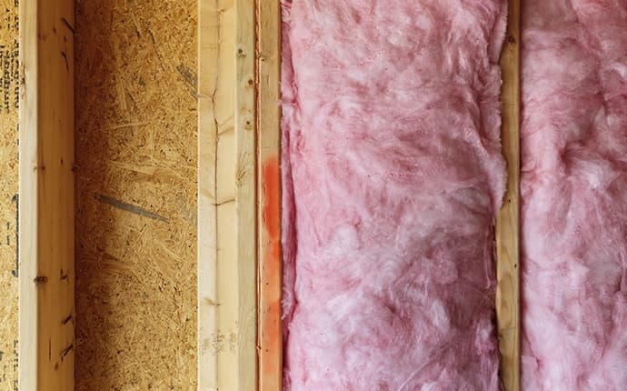 The Role High-Quality Insulation Plays In Effective Pest Control In ...